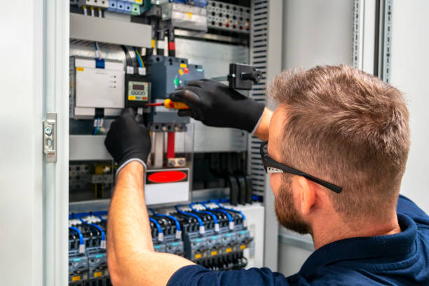 Best Electric Panel Repair  in Buckhead Ridge, FL